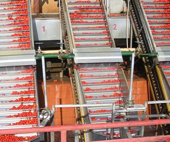 �����uԭ������ϵ�y(t��ng)